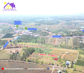 Đất Nghỉ Dưỡng ĐamBri Bảo Lộc kết nối trực tiếp cao tốc​​​​​​​ 